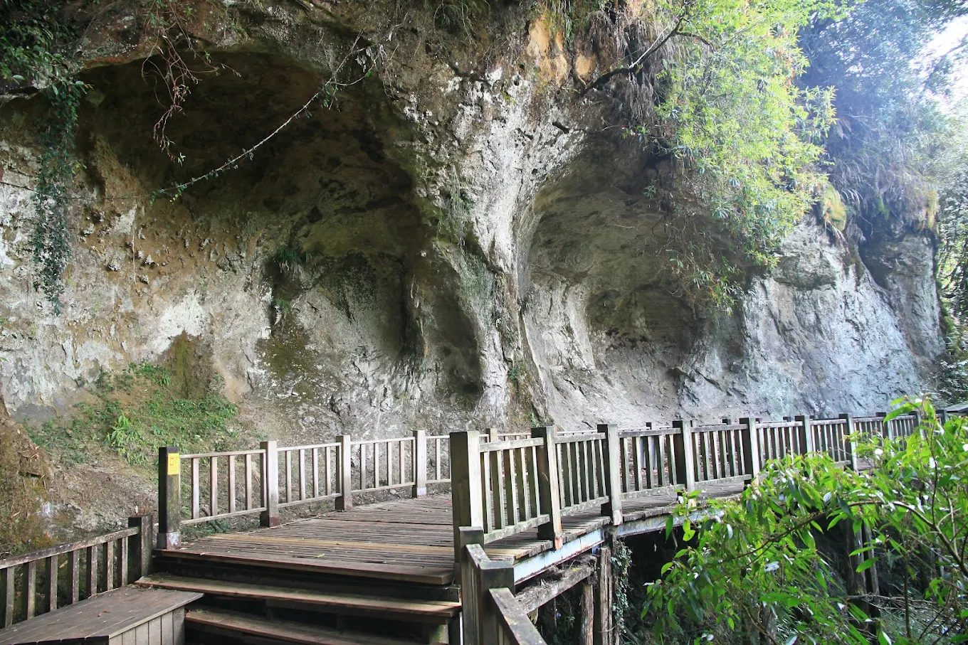 杉林溪森林遊樂園探索｜好玩又療癒的自然之旅