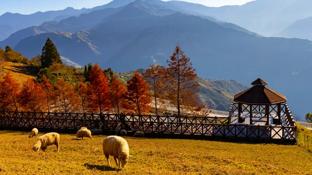 清境農場旅遊全攻略|群山美景、美食與住宿一次滿足!