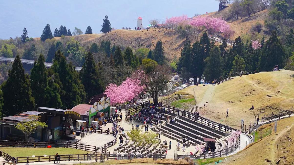 清境農場旅遊全攻略|群山美景、美食與住宿一次滿足!