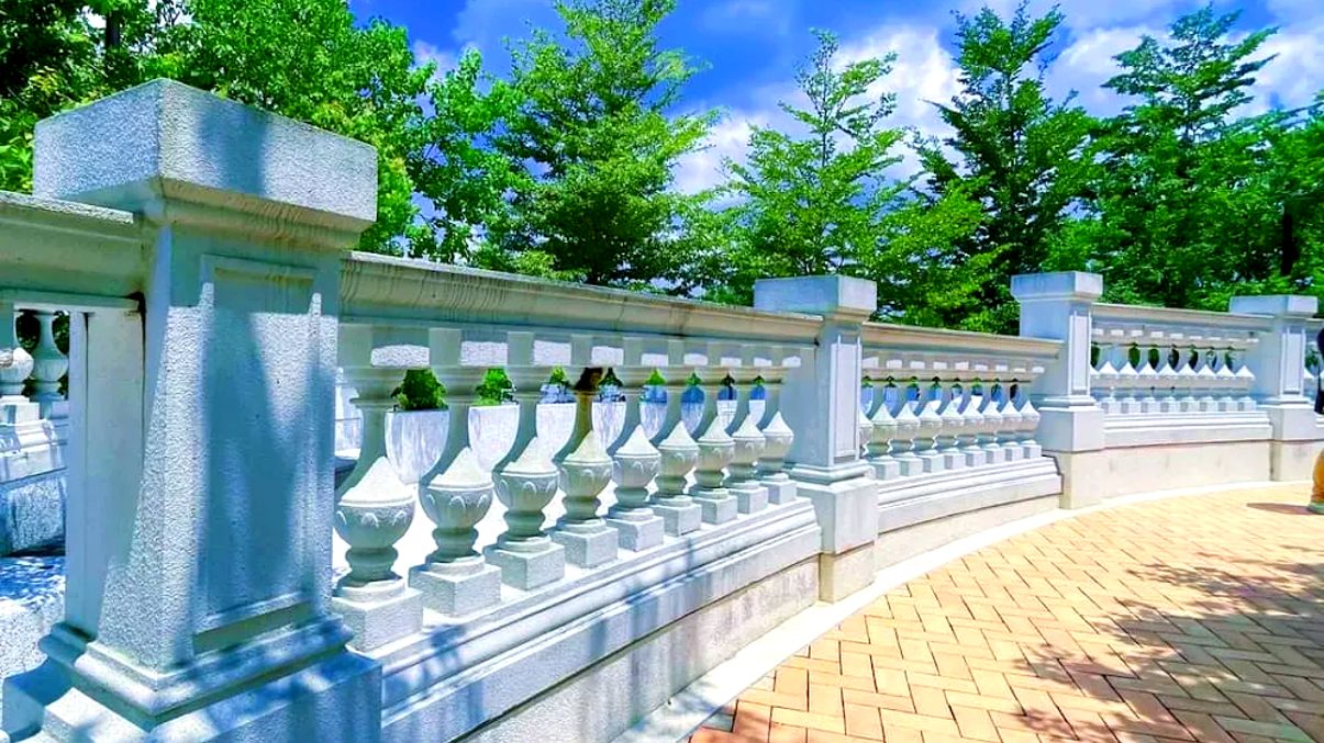 探索蓋婭莊園：沉浸在自然之美中的心靈旅程