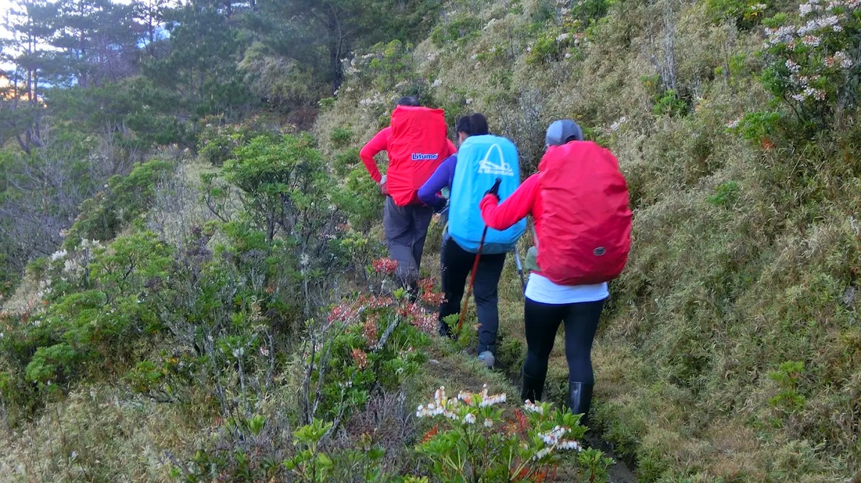 一群全副武裝的登山隊伍行走在前往觀高坪的山徑上，展現探索自然的熱情與團隊精神。