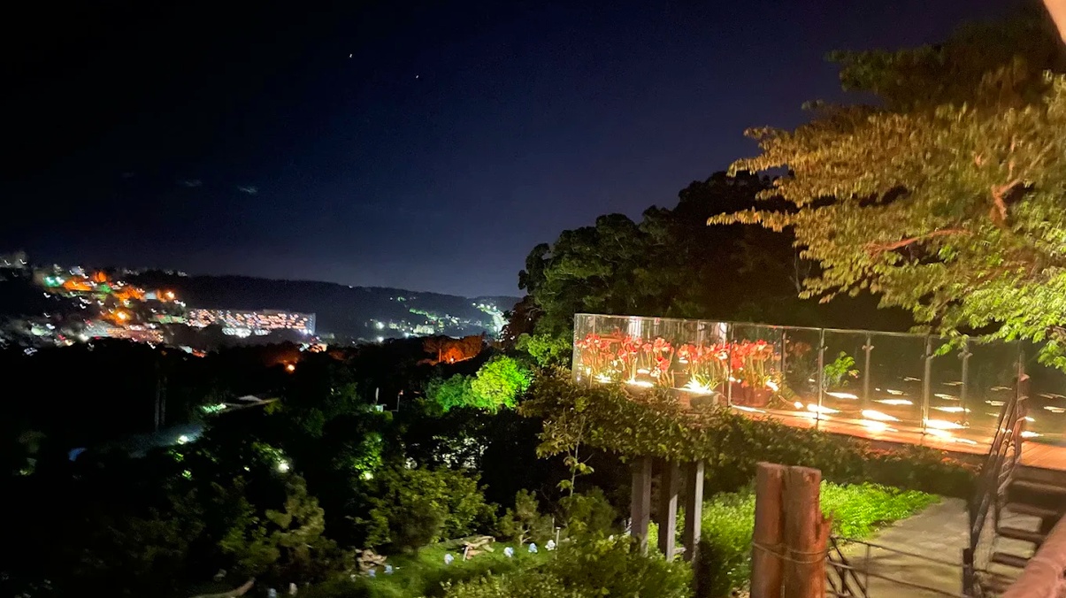 Mountain_skywalk_night
