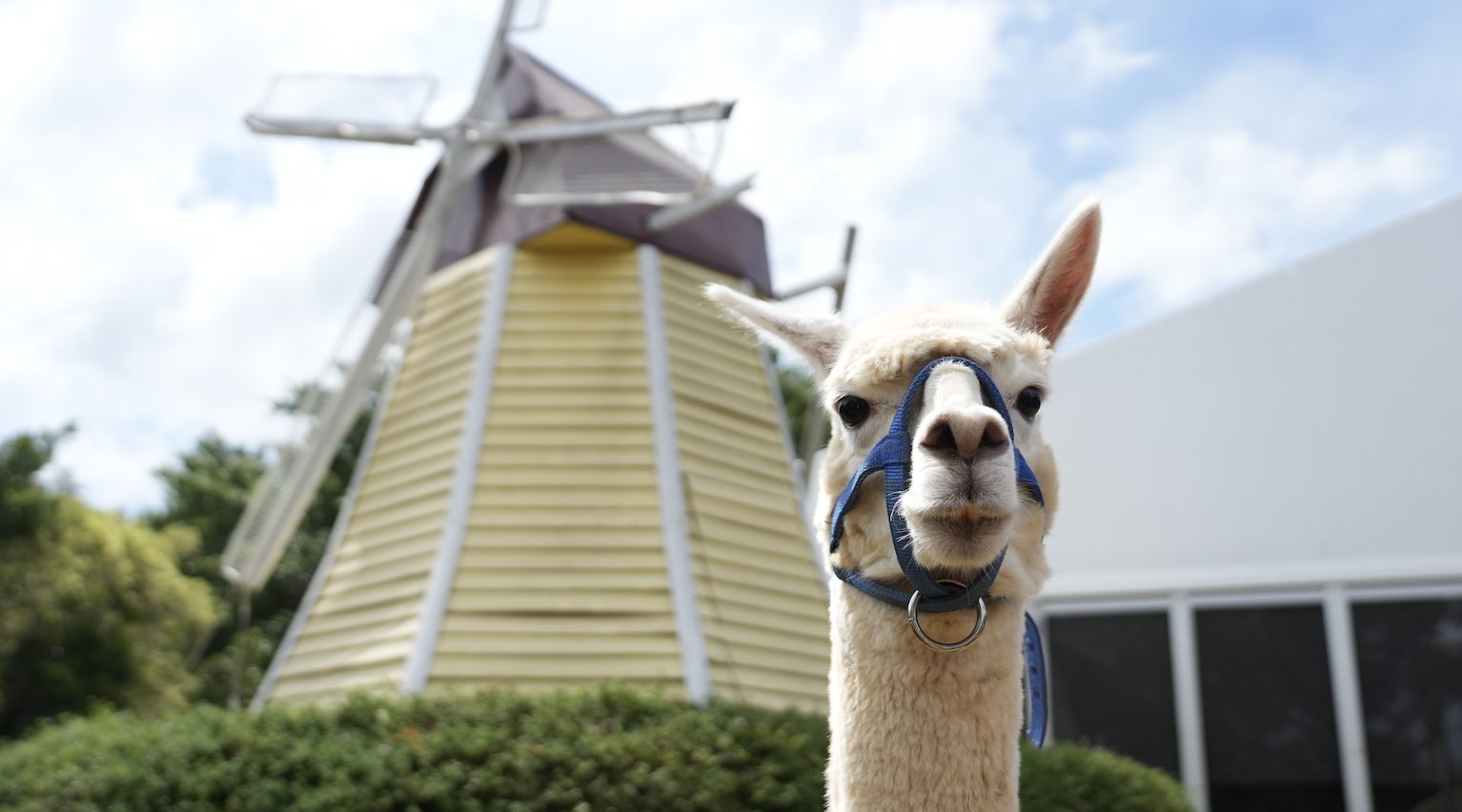 截圖 2024 07 14 上午9.39.26__24G14dZ2yB