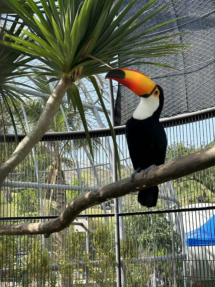 九九峰動物樂園的最佳遊玩攻略｜家庭出遊的絕佳選擇