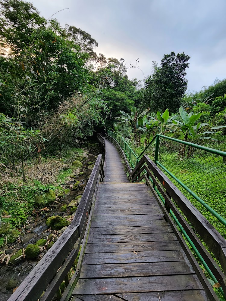 Firefly Viewing Trail