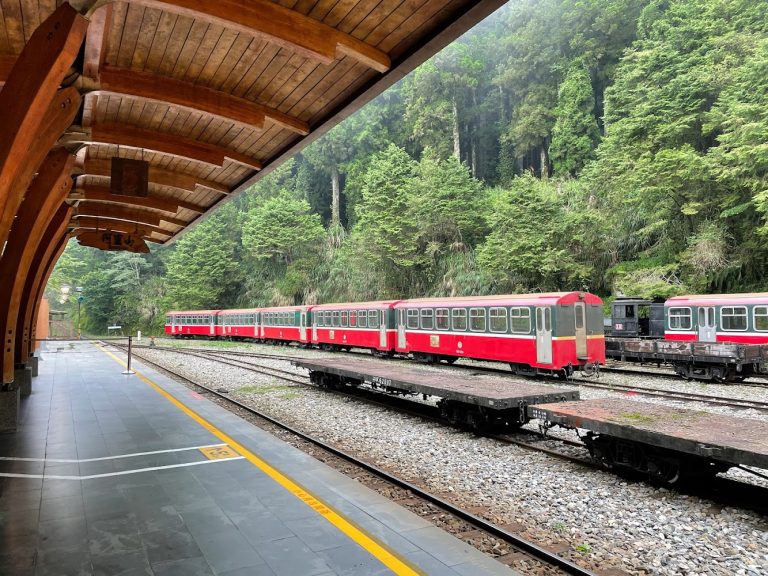 阿里山小吃｜探索阿里山小火車：提升您的旅遊體驗