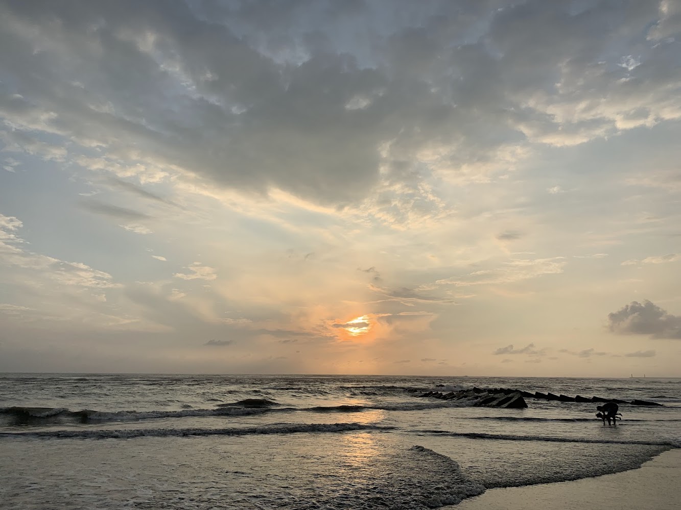 探索台南海邊的隱藏美景:一次遊覽漁光島與黃金海岸的完美之旅