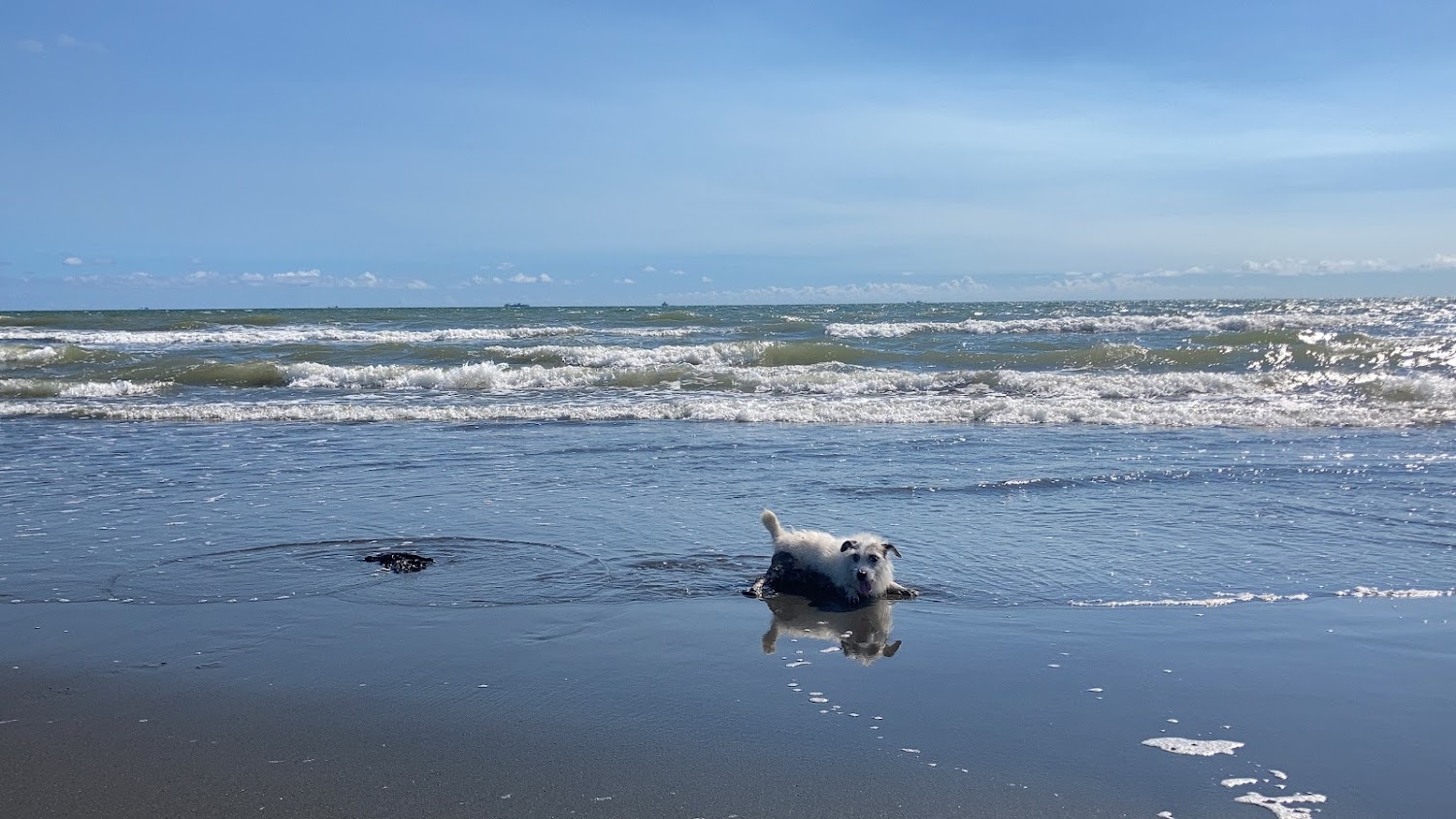 探索台南海邊的隱藏美景:一次遊覽漁光島與黃金海岸的完美之旅