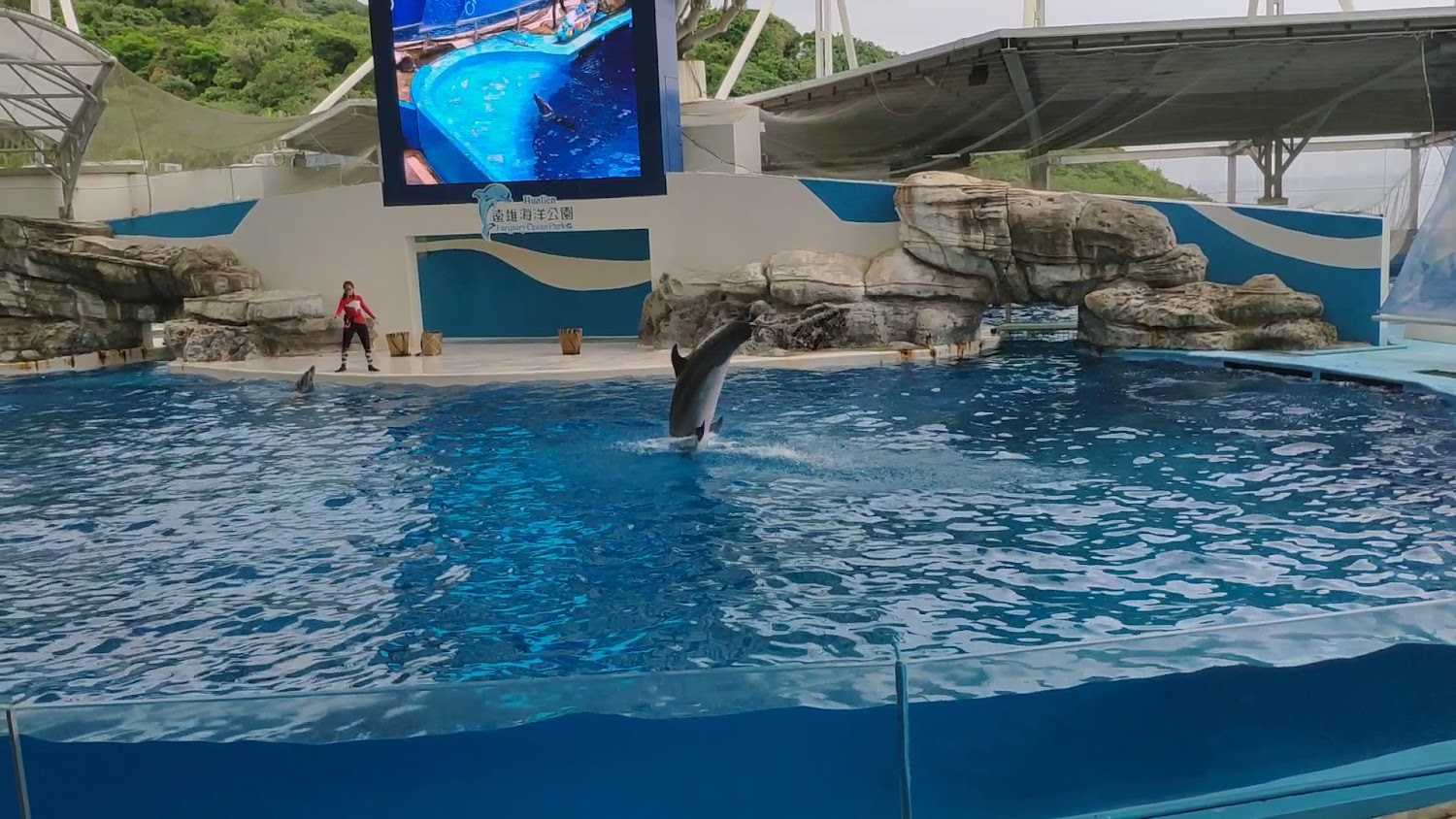 遠雄海洋公園：親子共遊的最佳場所