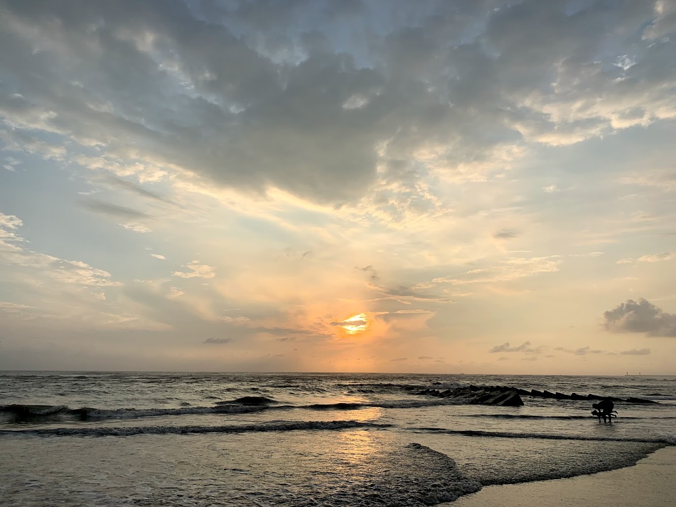 黃金海岸