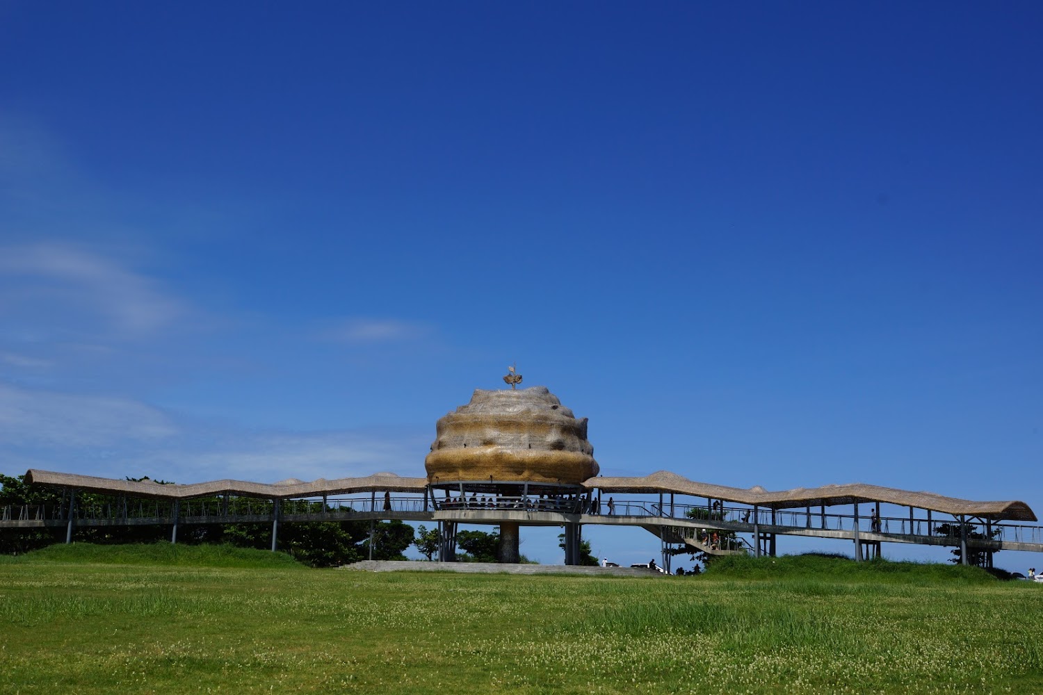 台東海岸公園｜探索台東：必訪的5大景點攻略