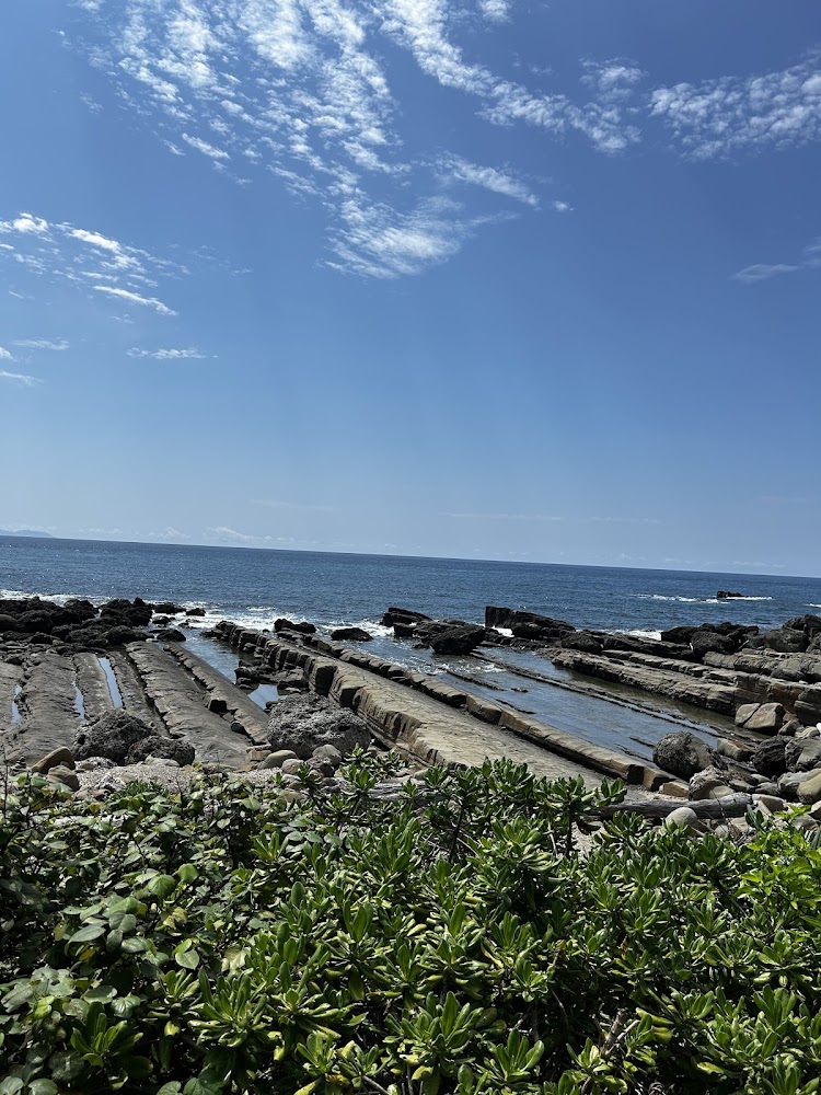 小野柳