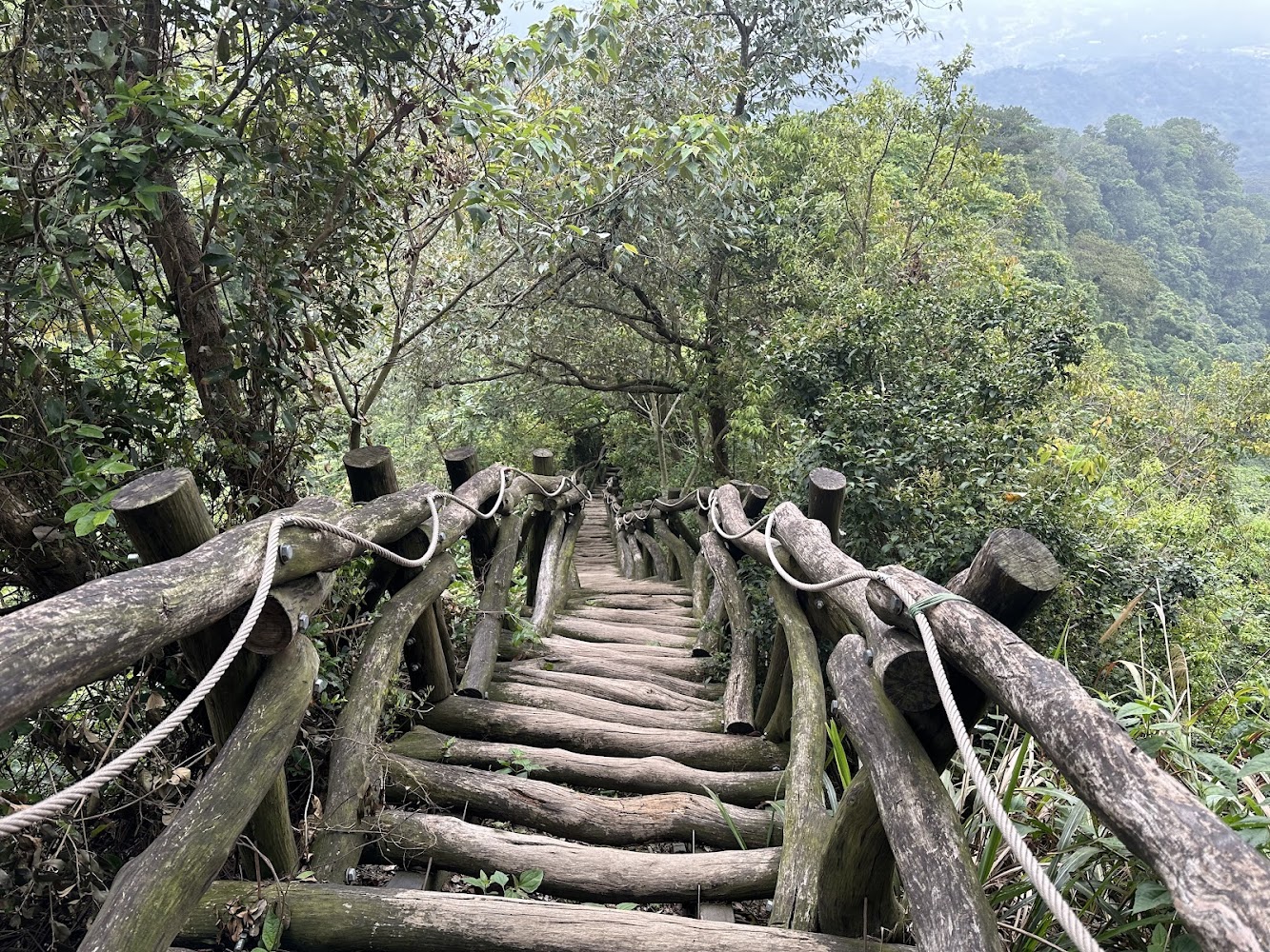 大坑二號登山步道|探索大坑步道:健行者的最佳選擇與秘訣