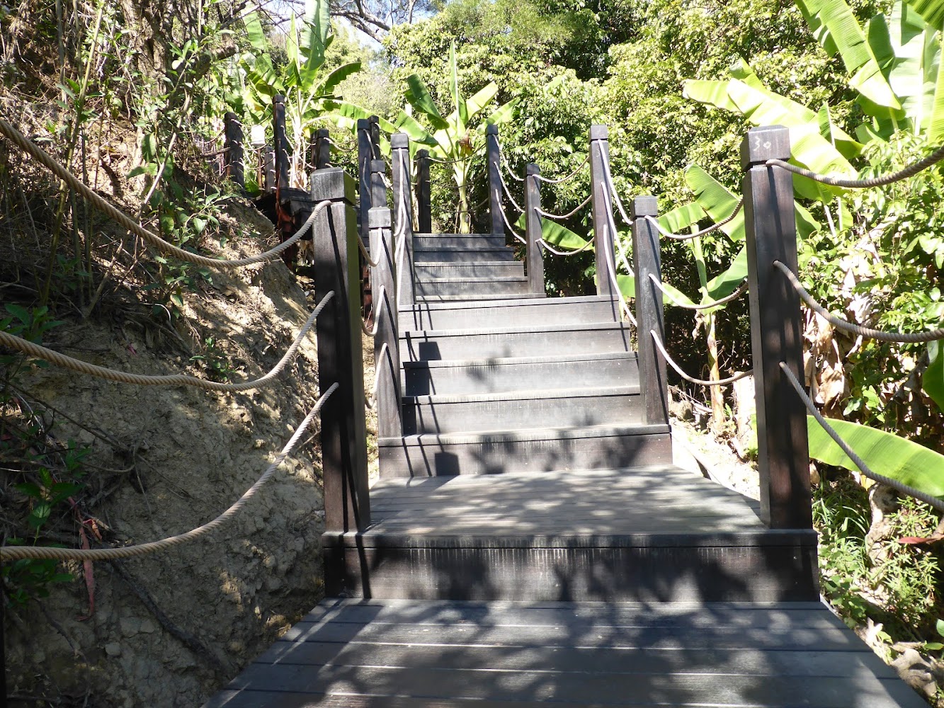 Dakeng Trail No.9-1｜大坑9號步道：探索台中最美步道的隱藏版秘境