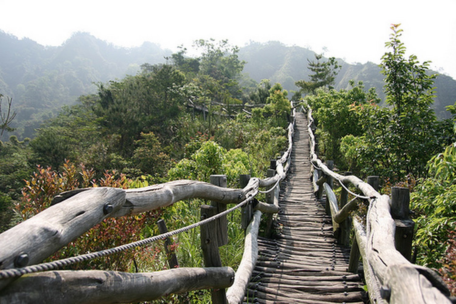 探索大坑風景區：臺中必去的登山健行天堂
