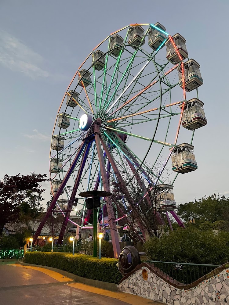 探索麗寶樂園：為何這裡是家庭旅遊的最佳選擇