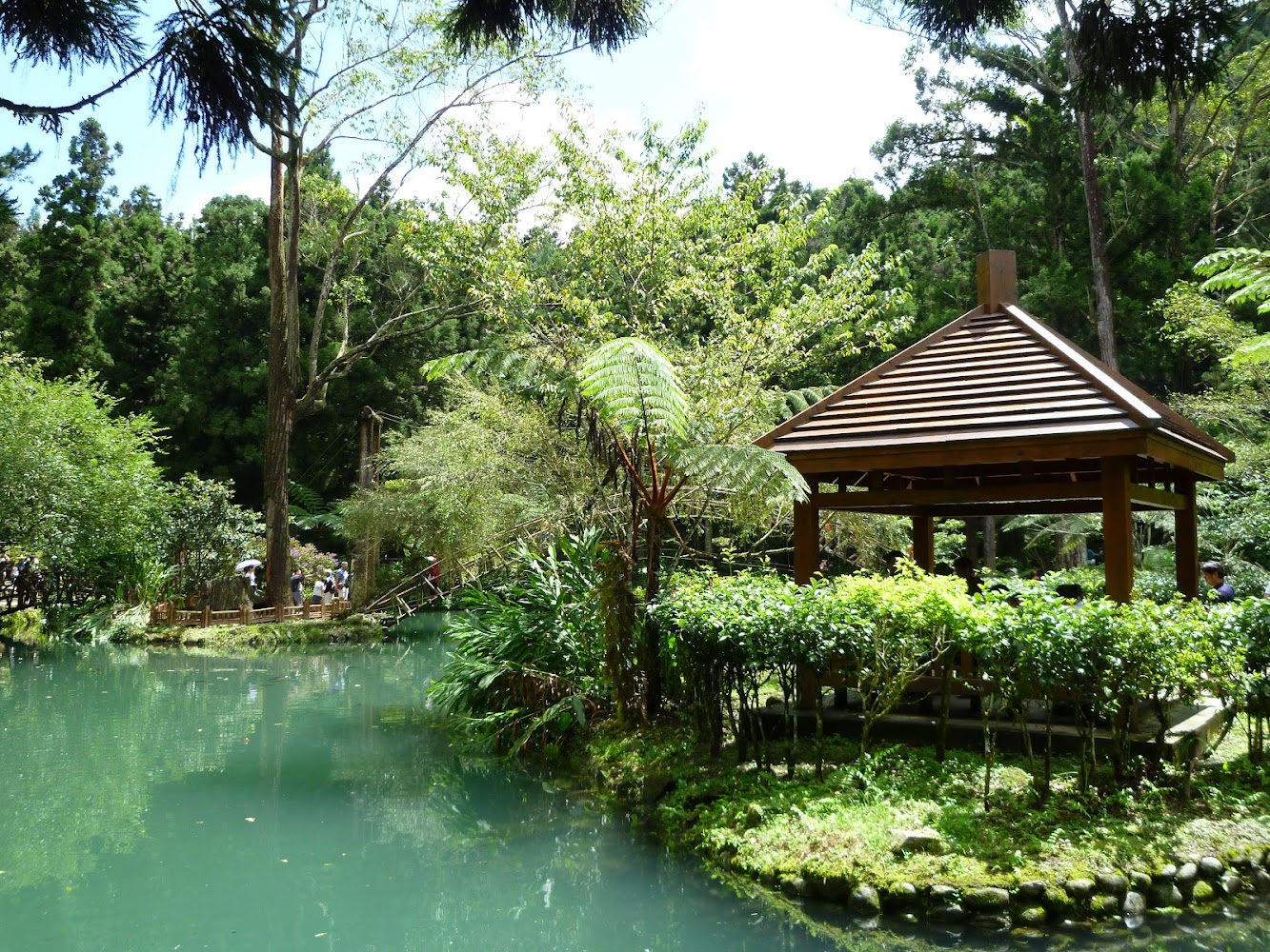 溪頭森林遊樂區旅遊攻略｜探索這片自然天堂的必看景點