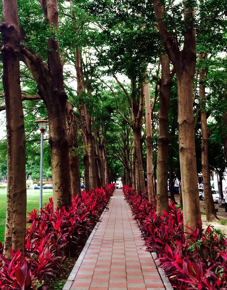 台中市景點推薦：掌握這必訪熱點，讓你的旅行更精采！