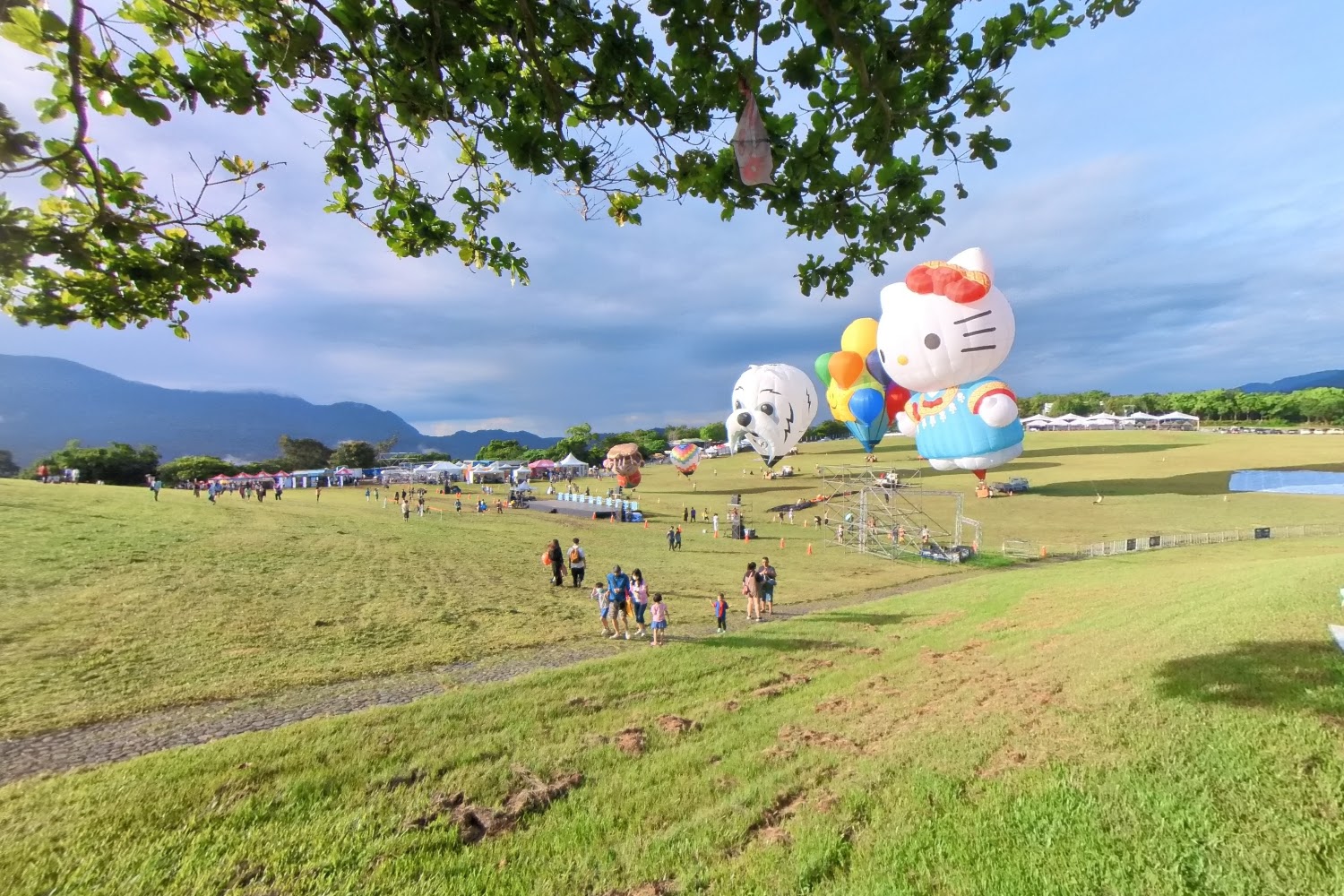 台東熱氣球體驗：鹿野高台熱氣球草地的完美之旅