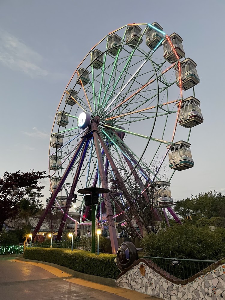 麗寶樂園：盡享台中最大遊樂園的樂趣與美食