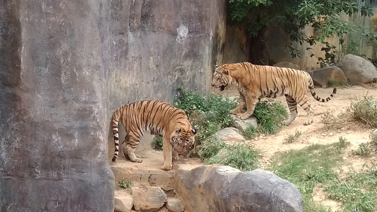 最新的一天前｜新竹動物園探秘：適合親子同遊的最佳選擇