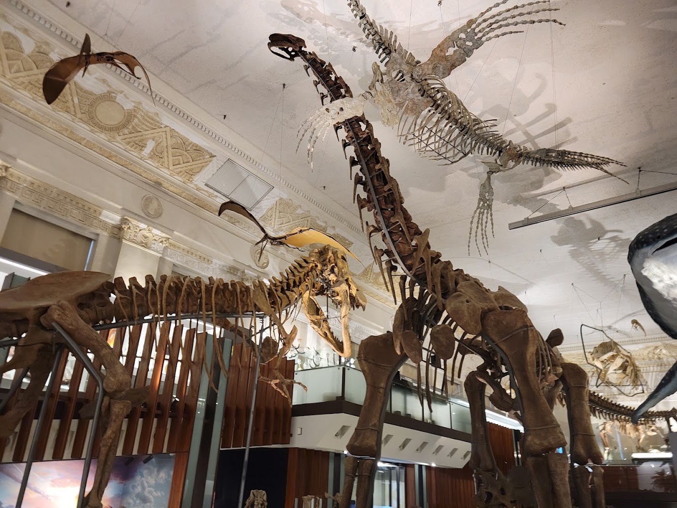 國立臺灣博物館土地銀行展覽廳