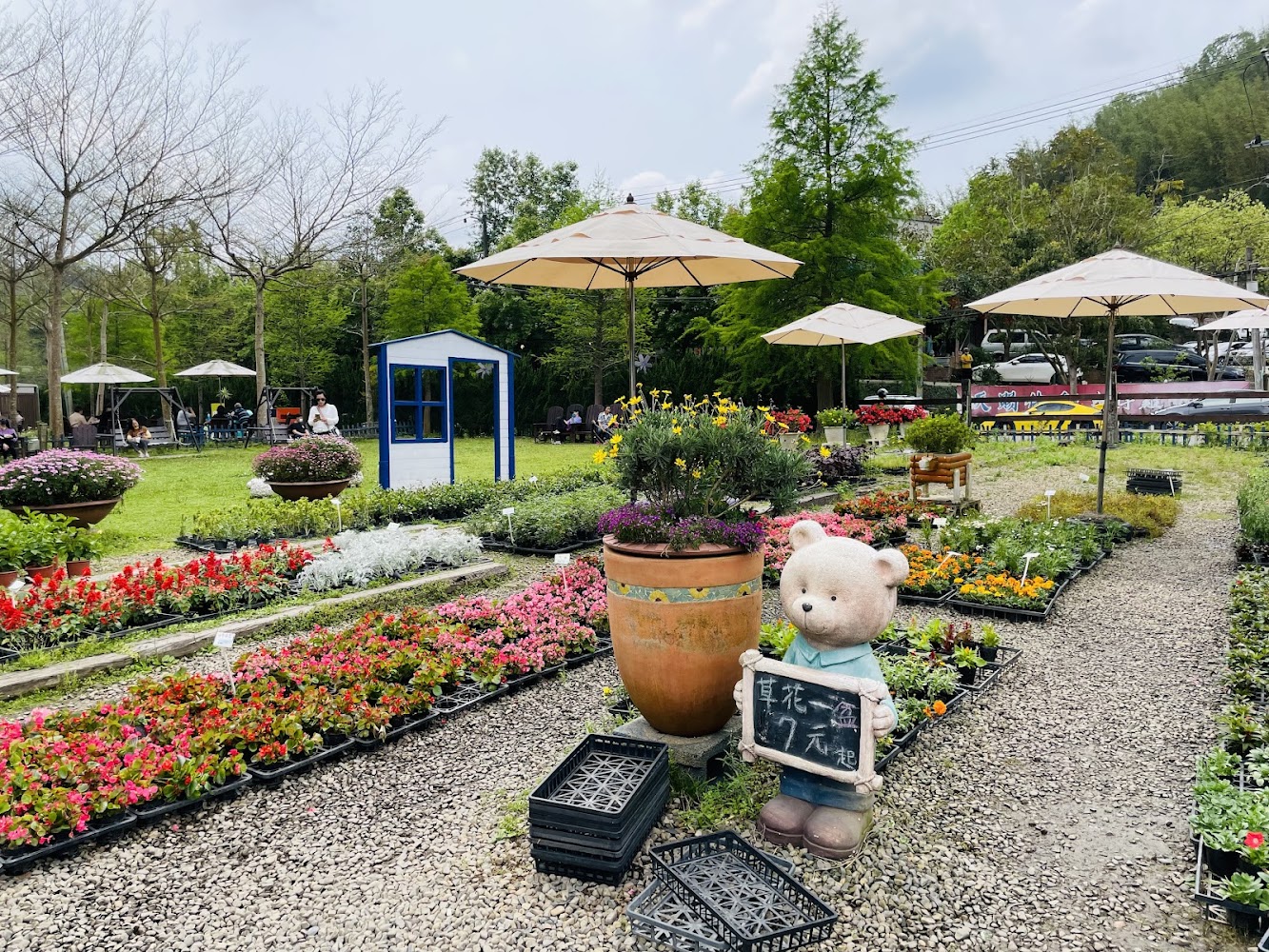 桃園賞花輕旅行：在大溪天御花園沉浸自然之美