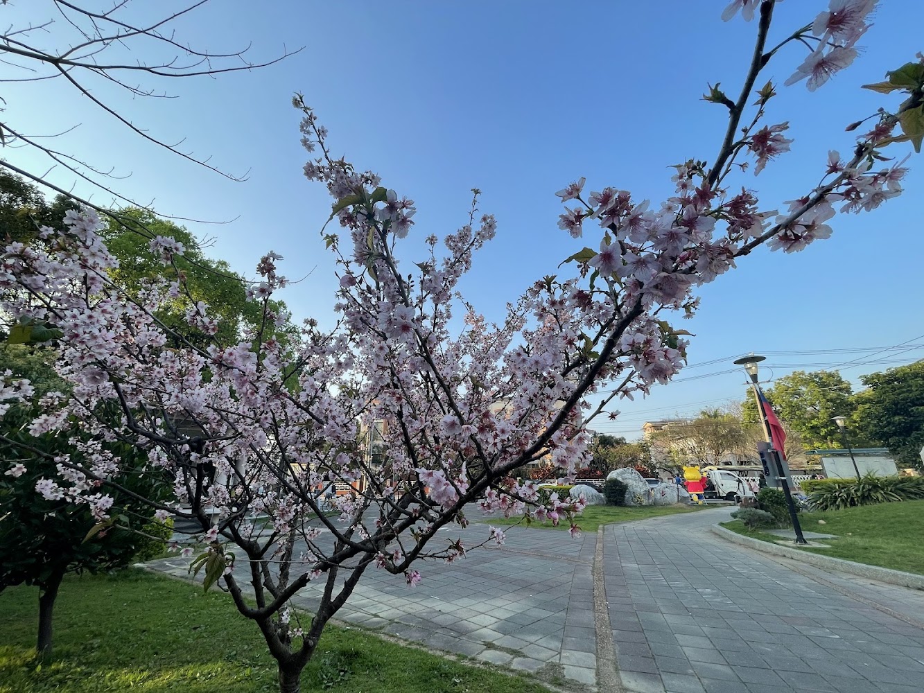 桃園戲水景點：家庭消夏必訪的最佳選擇
