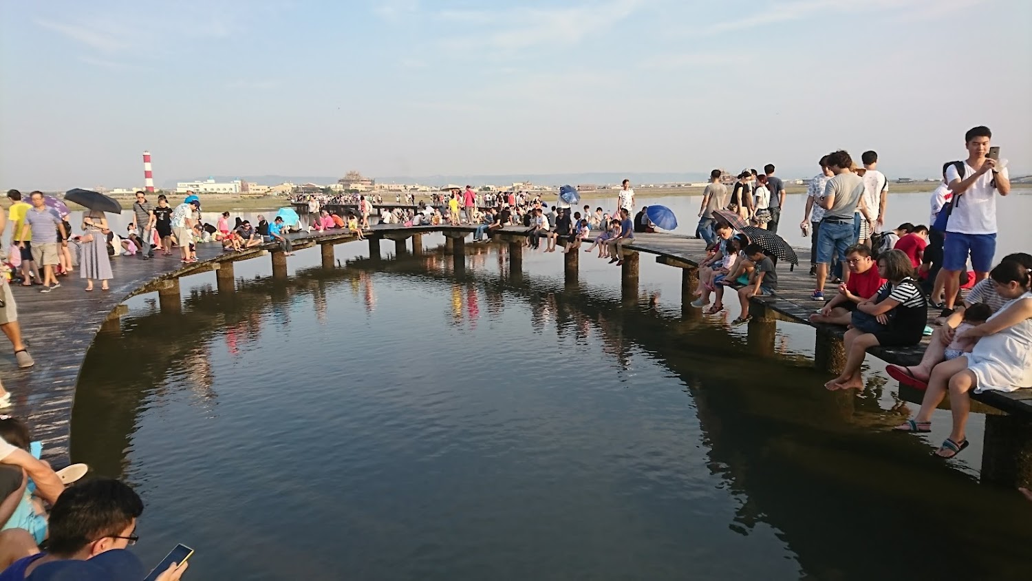 高美濕地導覽：探索台中自然之美與生態魅力