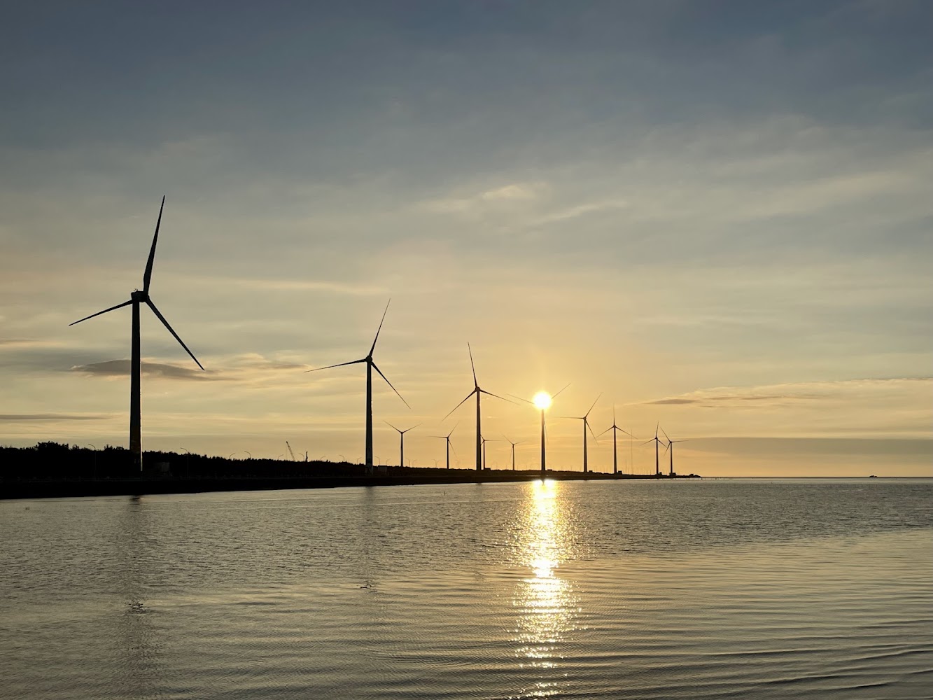 高美濕地活動報名｜探索自然之美，名額有限！