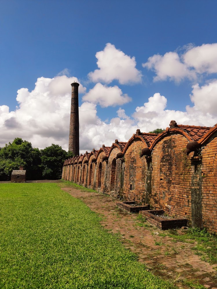 宜蘭輕旅行：探索不可錯過的稻香與津梅磚窯