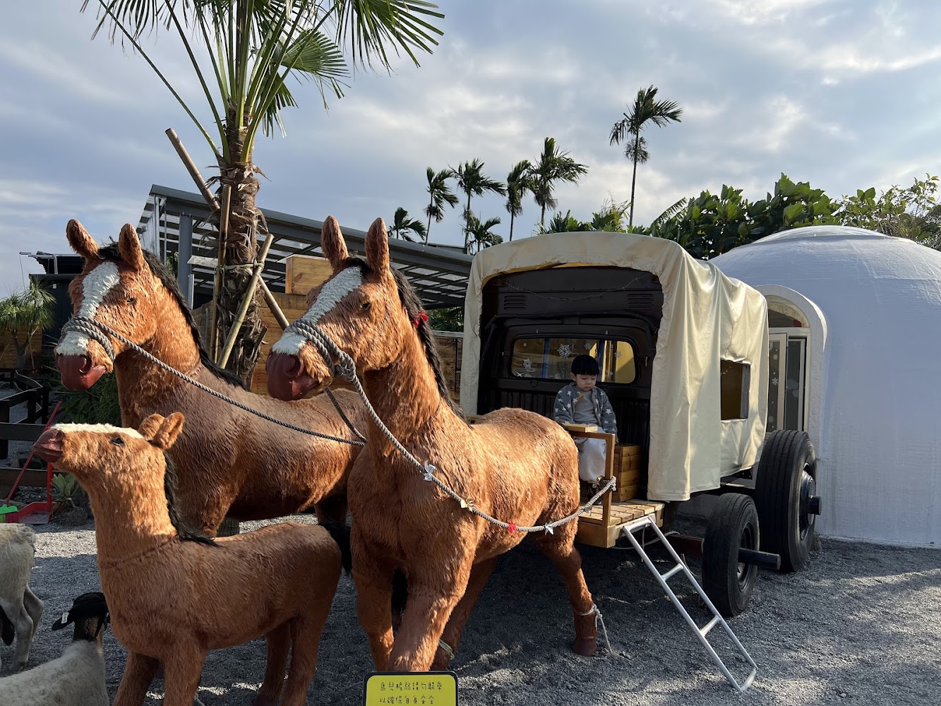 回巢農場：探索親子同樂的動物樂園