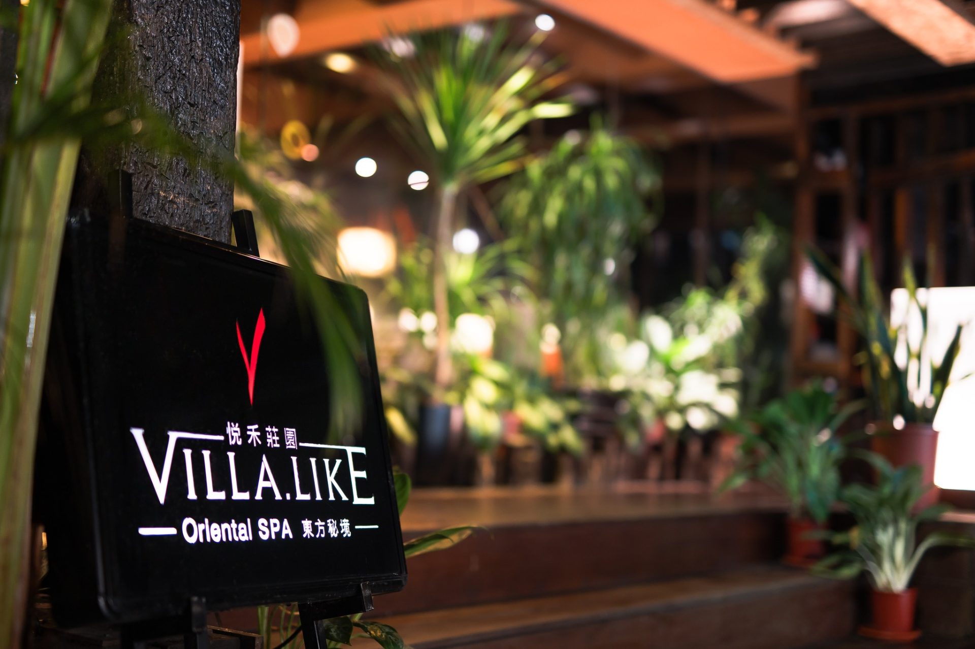 Villa.like 悅禾莊園|森林系療癒X五行能量SPA