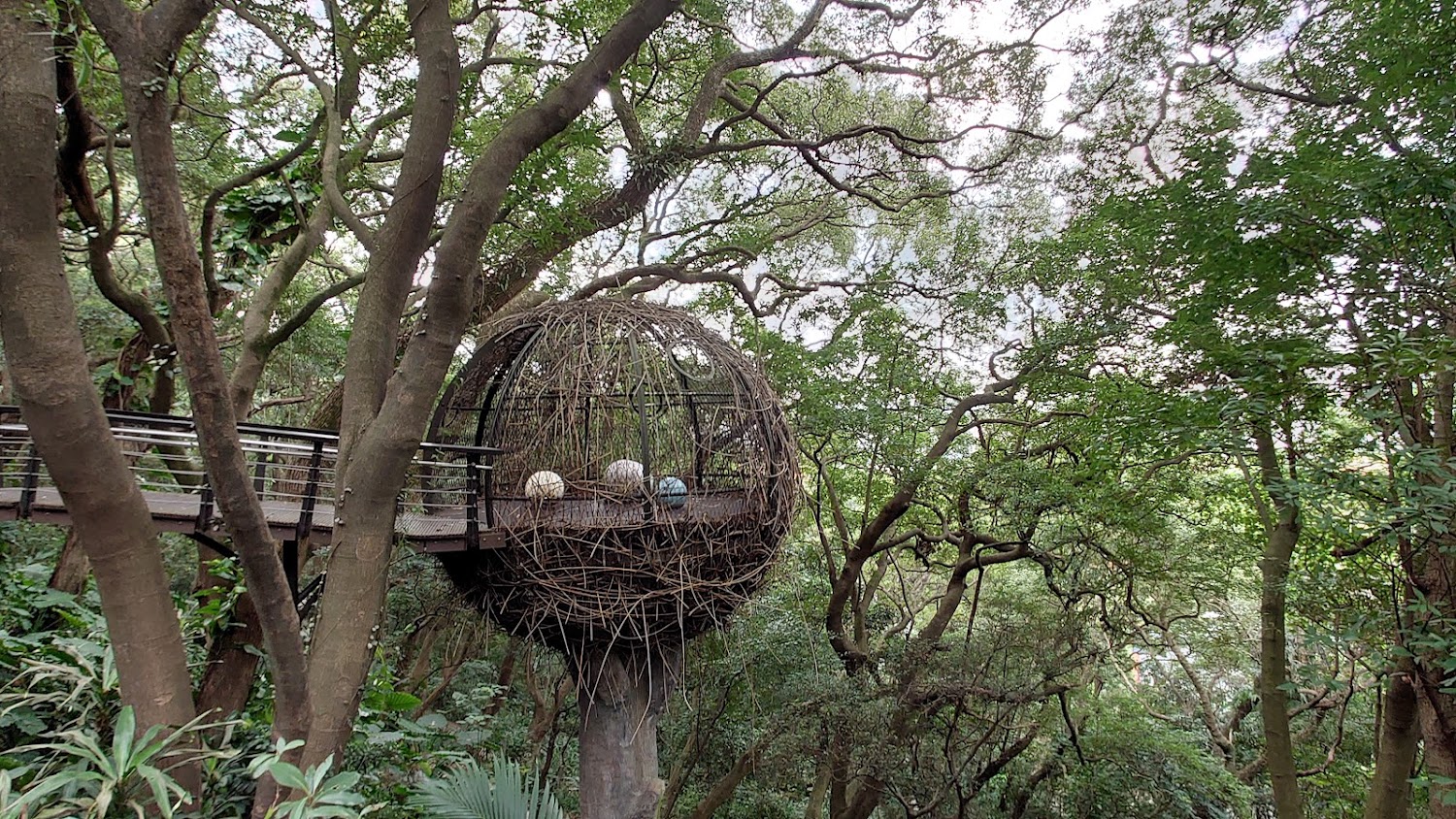 奧爾森林學堂|桃園景點推薦:絕對不能錯過的5大必訪景點!