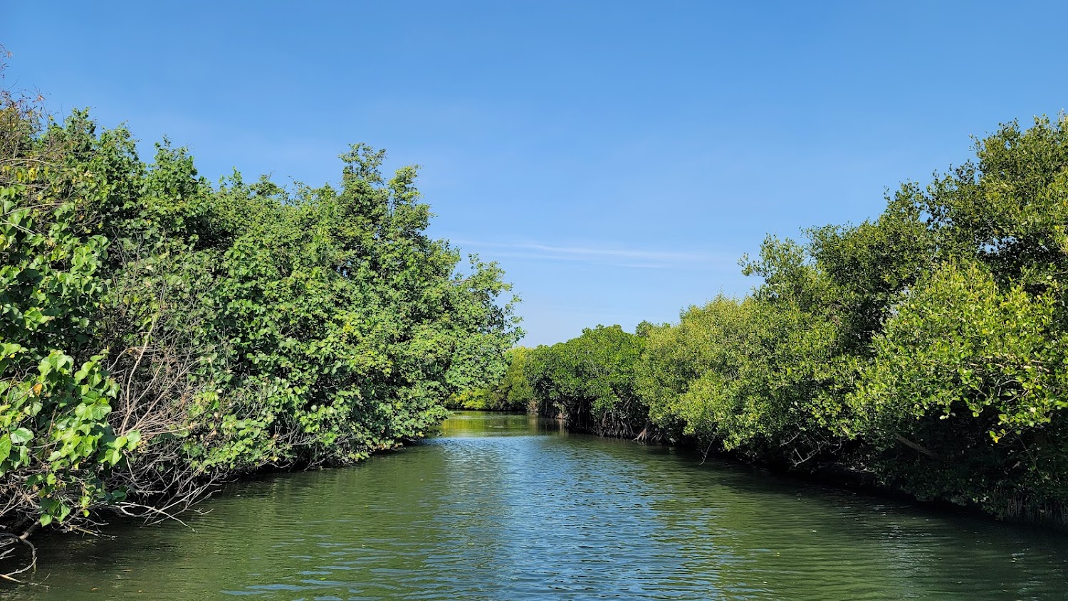 探索台南景點：神農街及其他必訪熱點