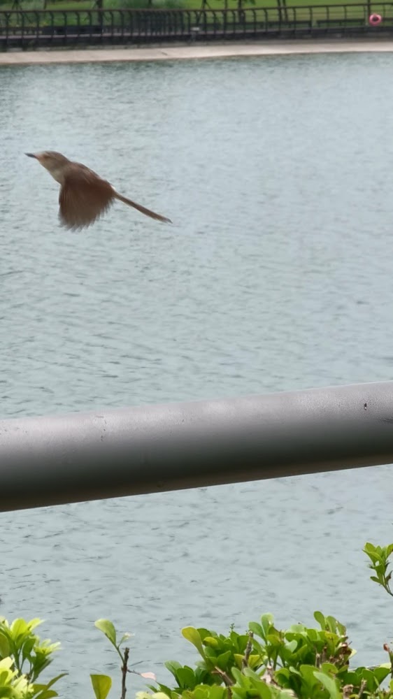 故宮南院的完美探索指南｜每個文化愛好者必看