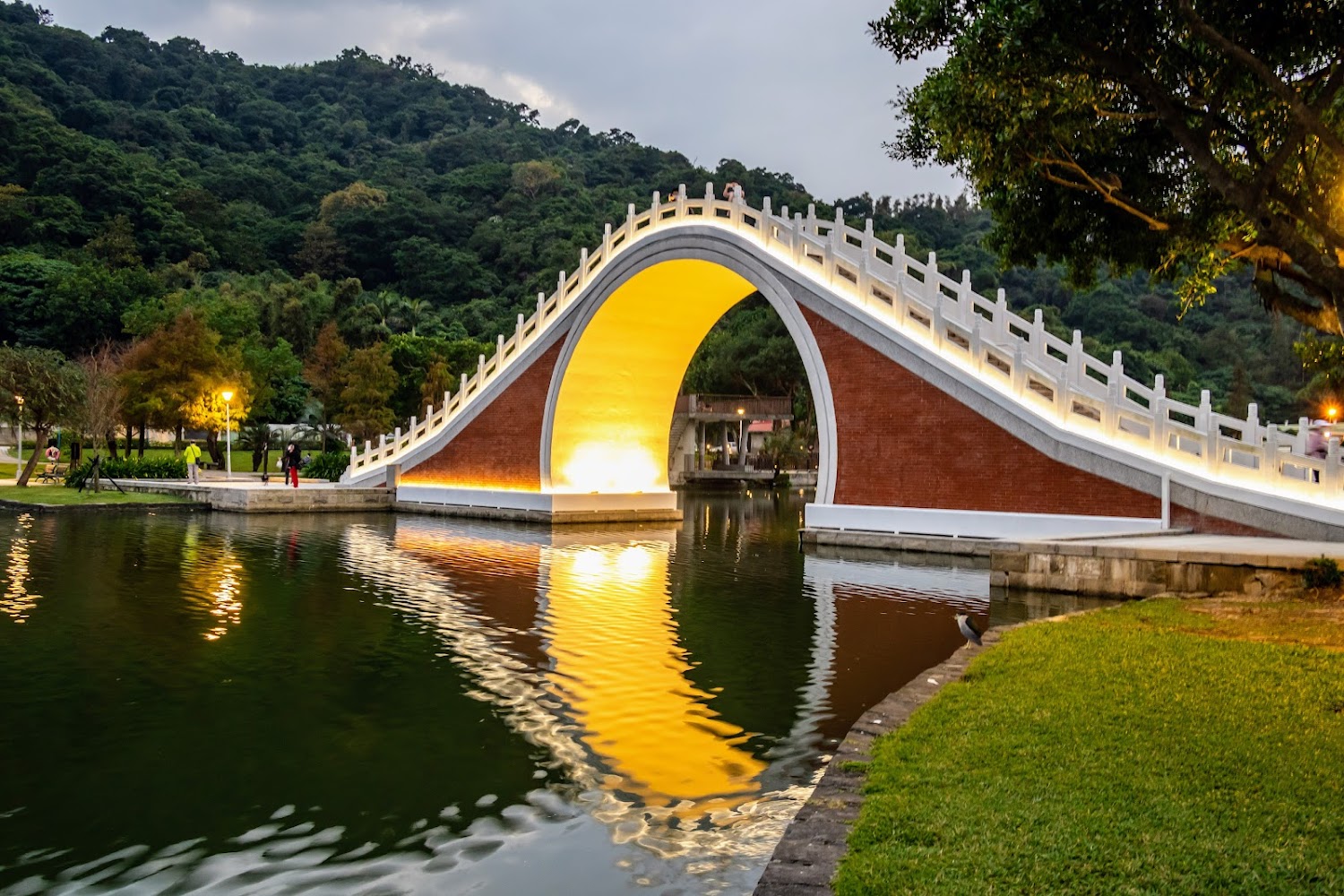 大湖公園｜探索台北景點：必訪的五大熱門地點
