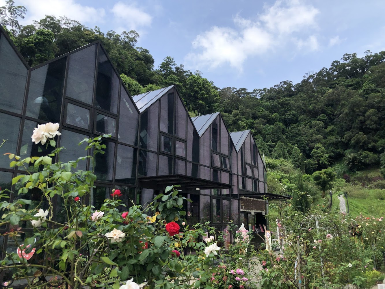 苗栗觀光:必訪的五大景點推薦,讓你的旅行充滿驚喜