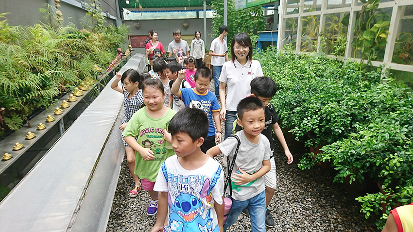 台南親子景點推薦｜與孩子一起探索樂園