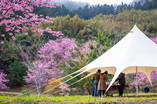 南庄住宿推薦：旅客不容錯過的隱藏版民宿