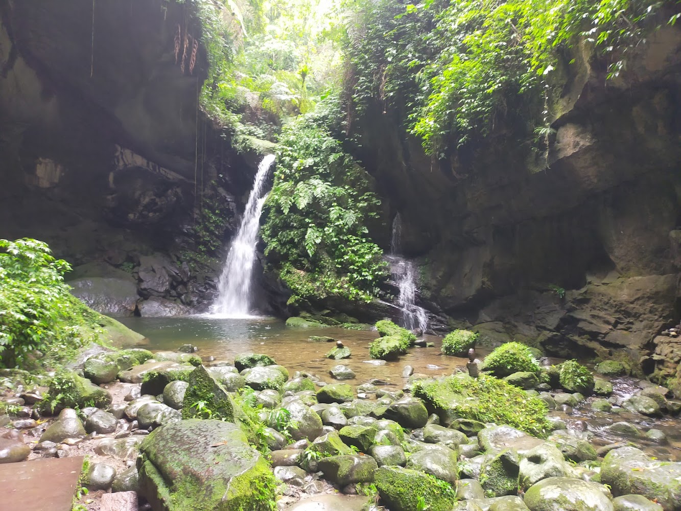 復興區瀑布秘境全攻略｜龍鳳瀑布、蝙蝠洞、水蓮洞等5大必訪自然景點