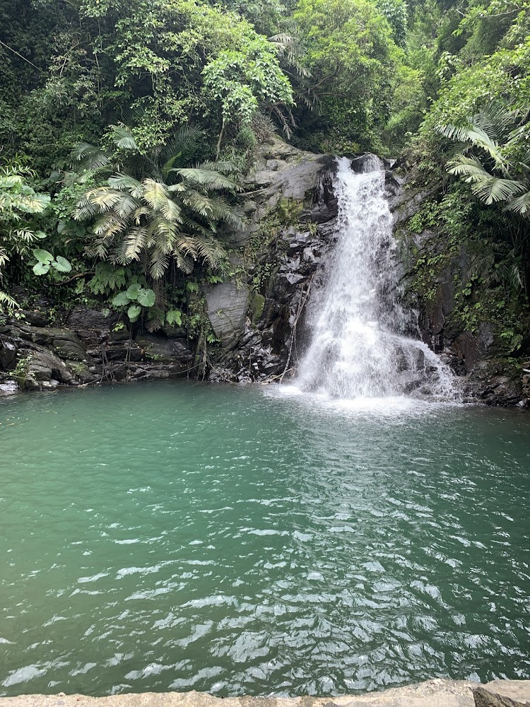 探索台灣五大壯觀瀑布秘境：天然美景與冒險體驗一次滿足！