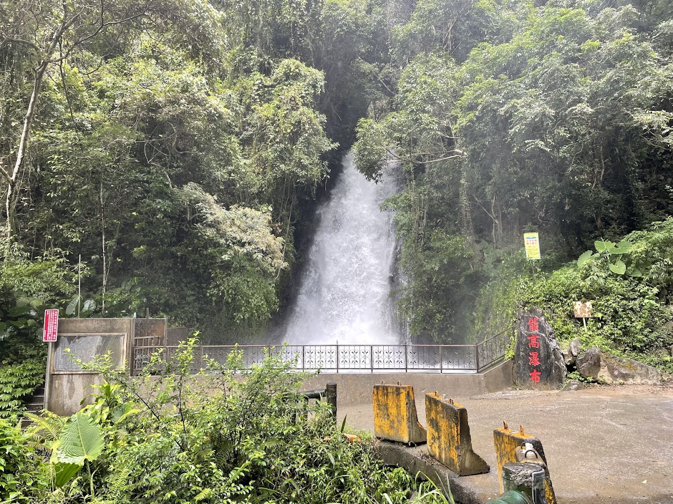 尋找南投景點的最佳選擇：溪頭自然教育園區、月牙灣、水社碼頭等不容錯過的好去處