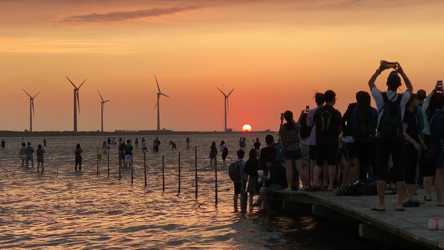 高美濕地：最佳觀賞夕陽與野生動物的秘境