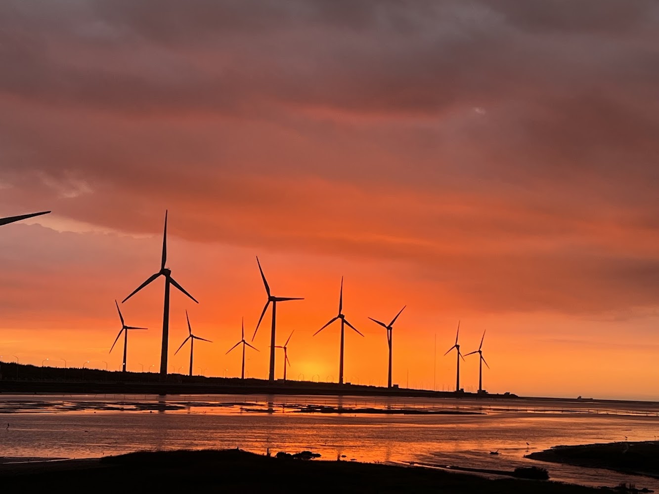 高美濕地｜高美風車大道：探索台中國家級風力發電觀光聖地