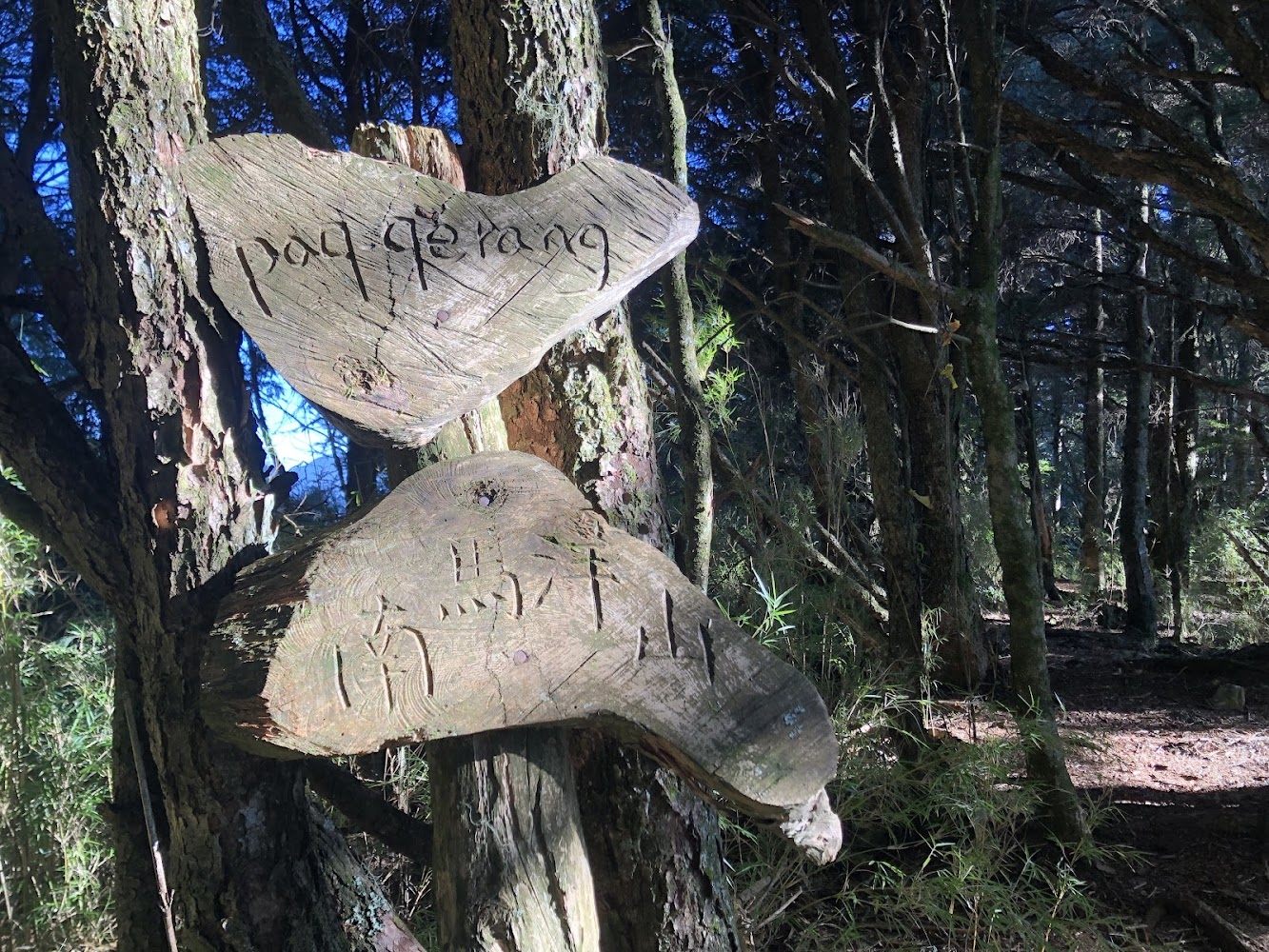 南馬洋山旅遊指南｜發掘隱藏在台灣的美麗秘境