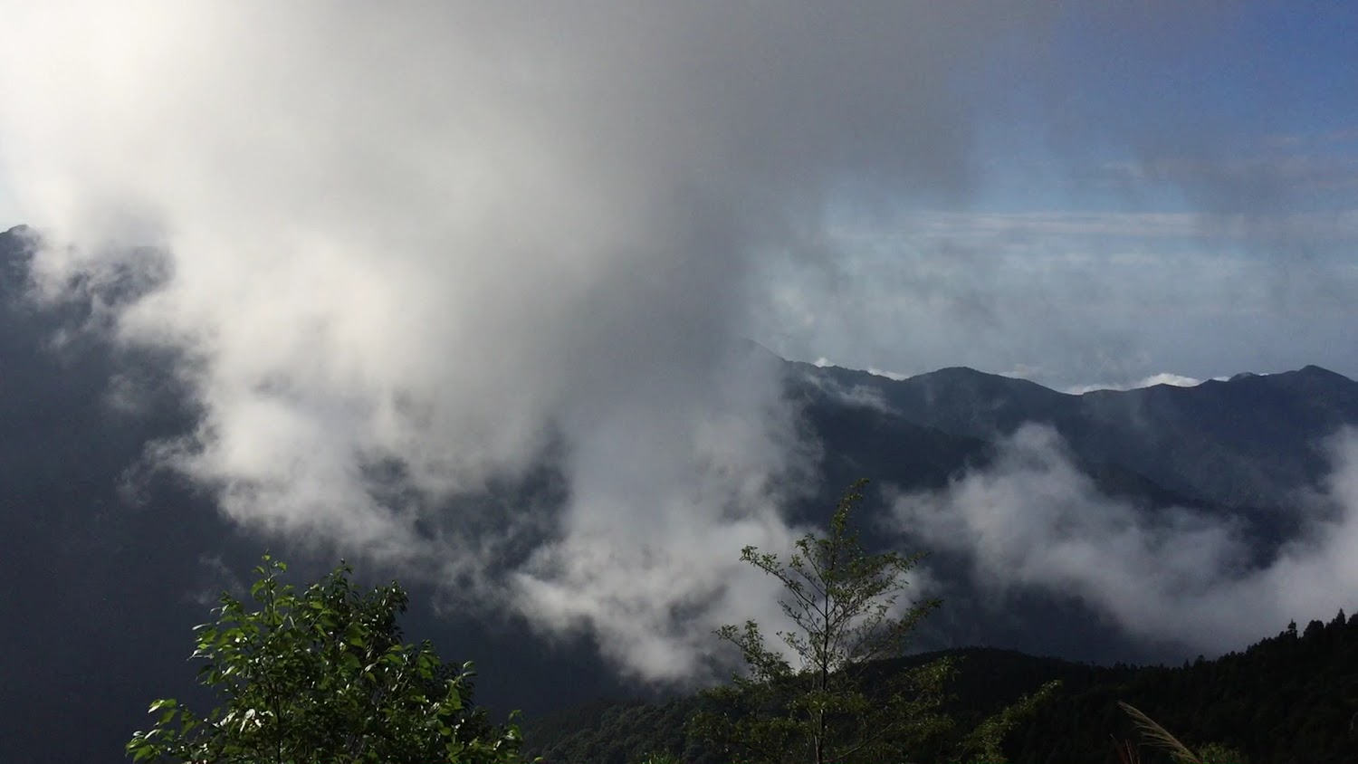 野馬瞰山步道｜輕鬆好走的絕佳賞景旅程