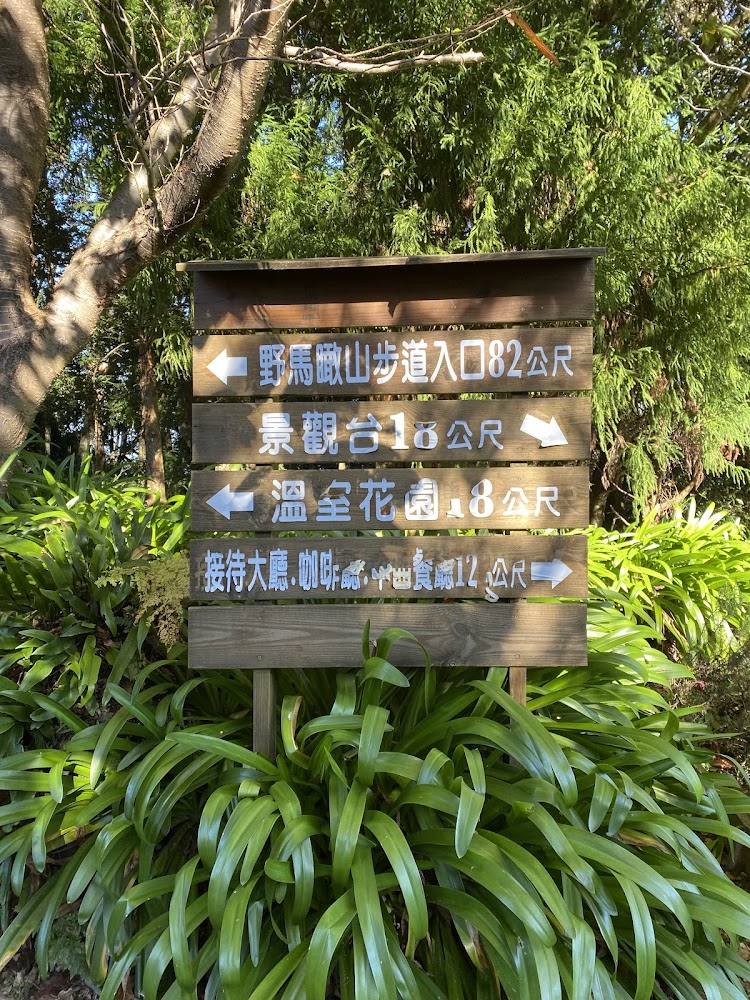 野馬瞰山步道｜輕鬆好走的絕佳賞景旅程