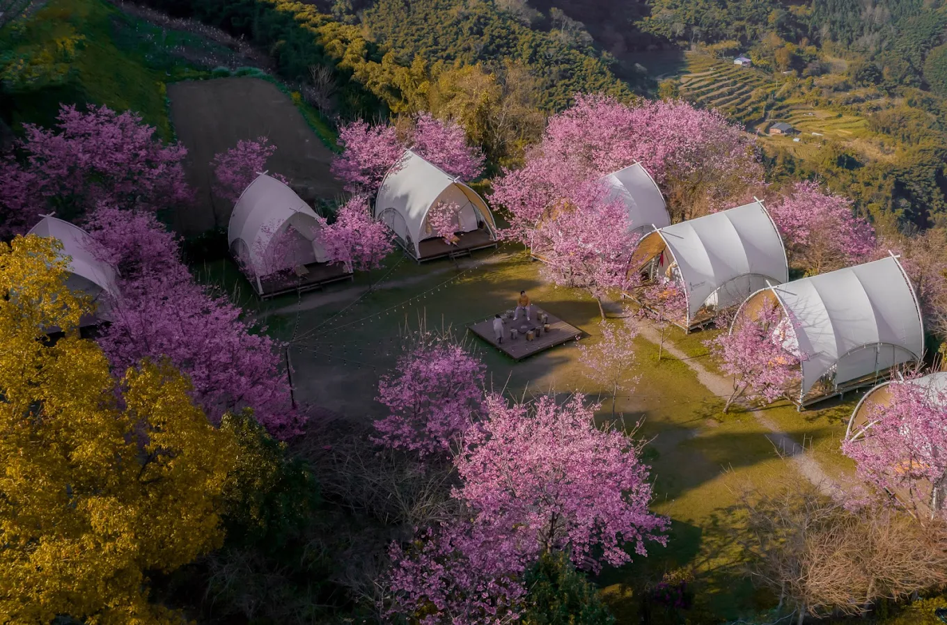 新竹五峰鄉旅遊住宿全攻略｜絕美山林風光 × 精選民宿推薦
