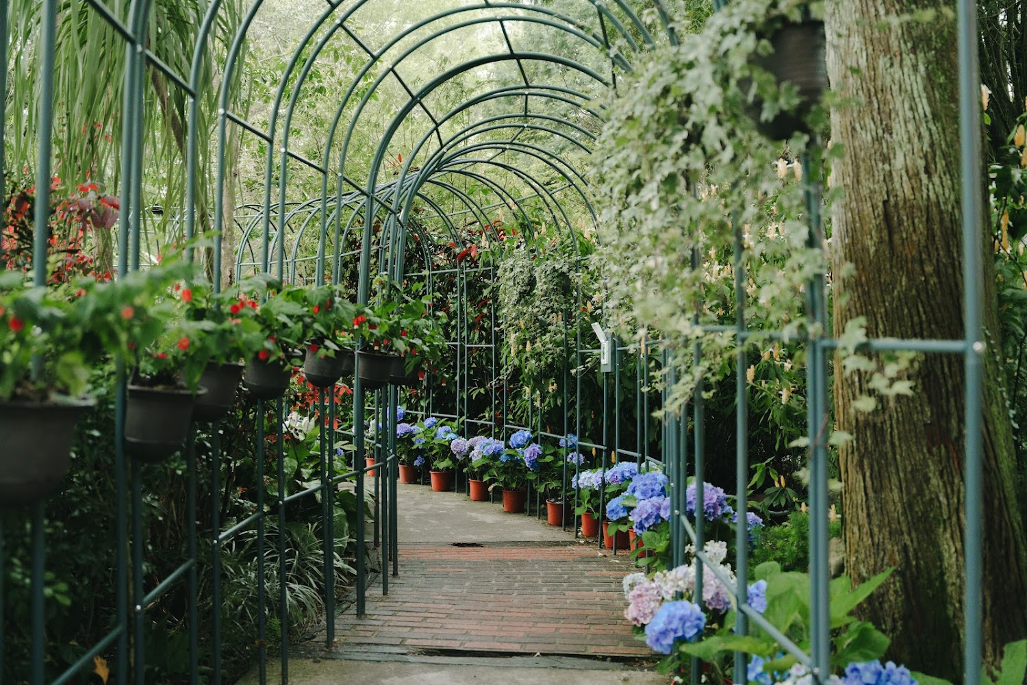 薰衣草森林尖石店｜新竹賞螢秘境：探索美麗夜幕下的螢火蟲秘境